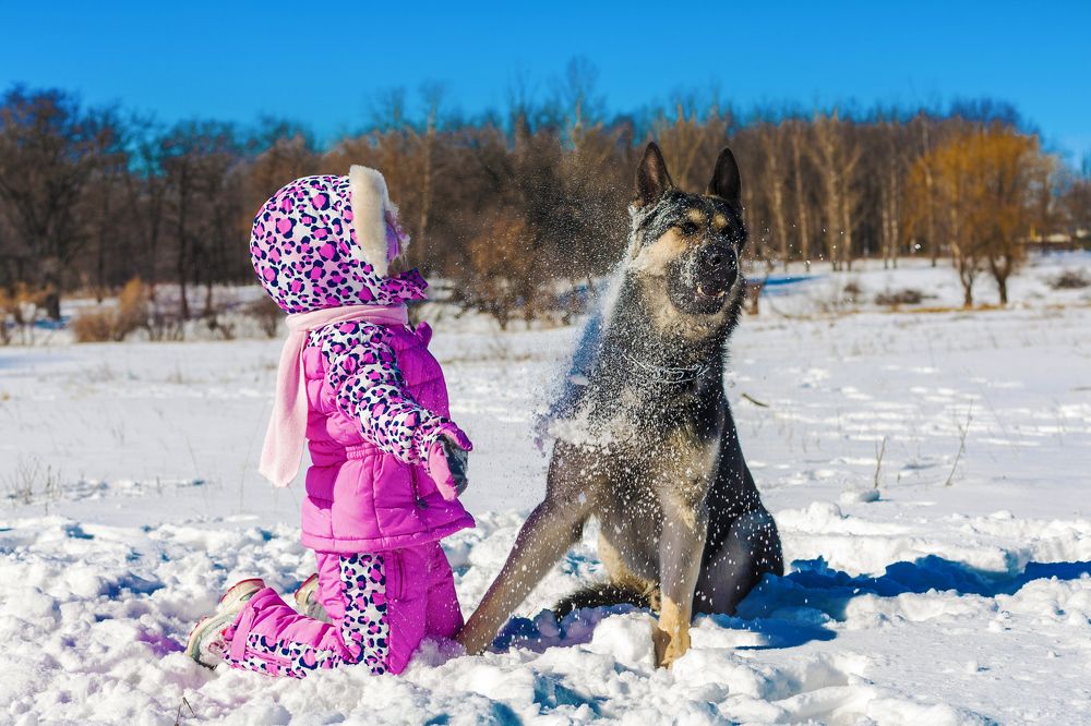 Photograph by Дёгтев Евгений