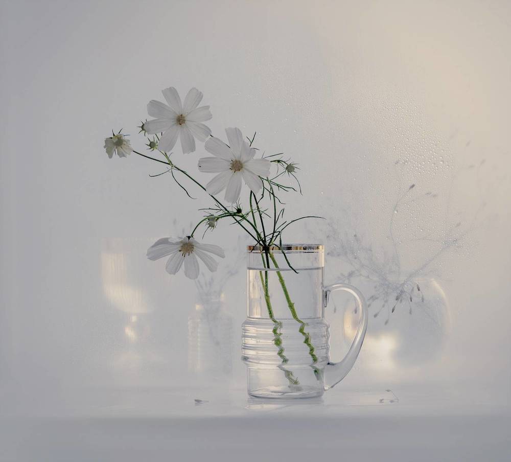 Фотография автора Шипунова Ирина