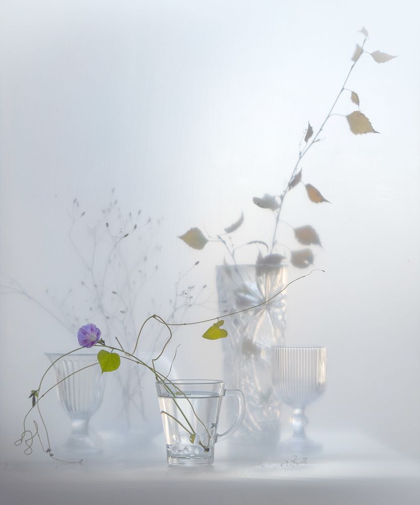 Фотография автора Шипунова Ирина