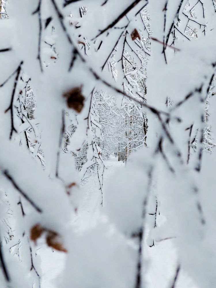 Photograph by Ксения Цветкова