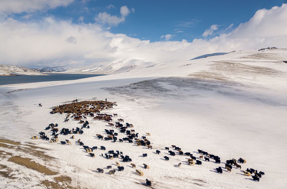 Photograph by Basan Baatarsuren