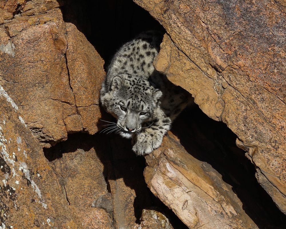 Photograph by Basan Baatarsuren