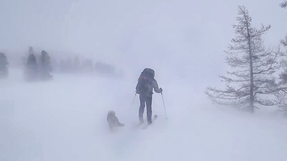 Photograph by Борис Абрамов