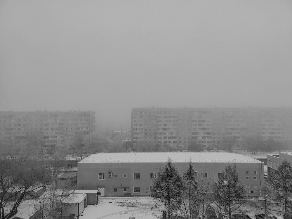 Photo #11396016