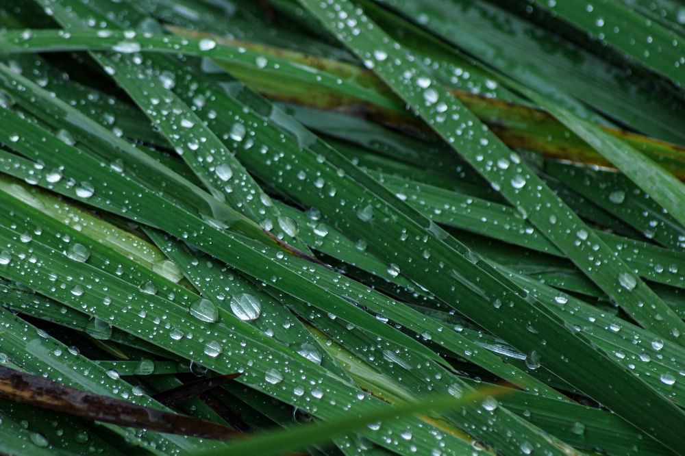 Photograph by Карина Заводчикова