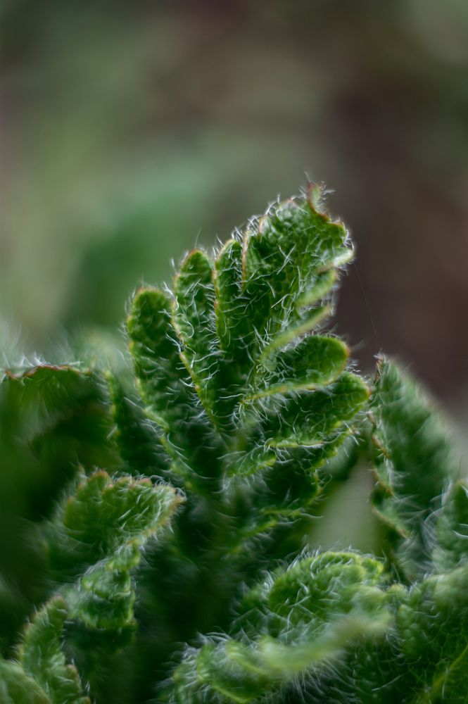 Photograph by Карина Заводчикова