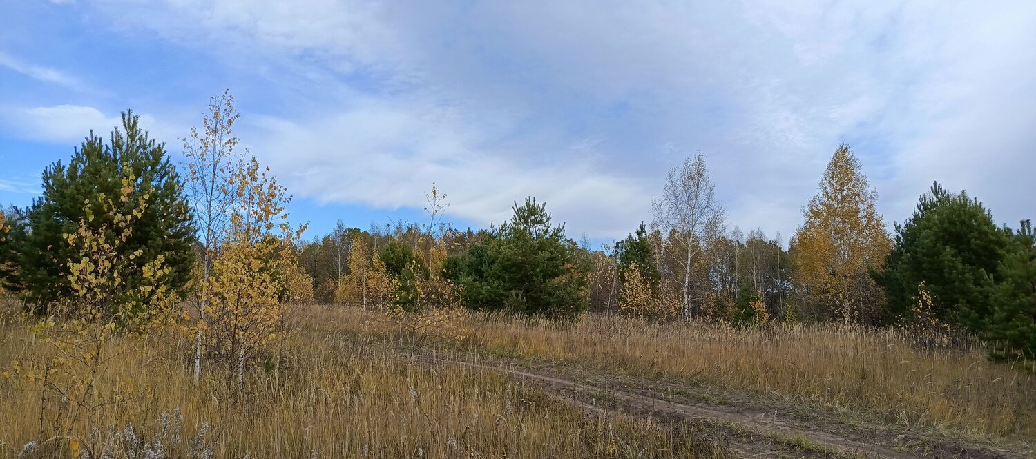 Photo #11396094