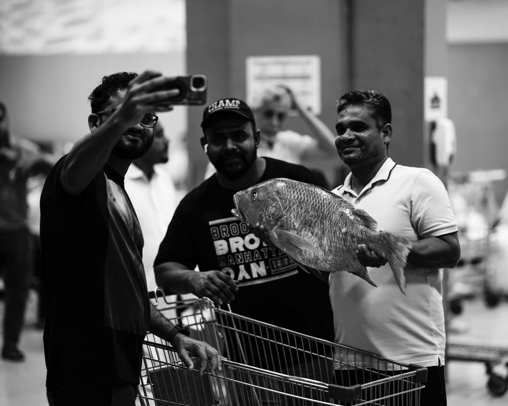 Фотография автора alvin