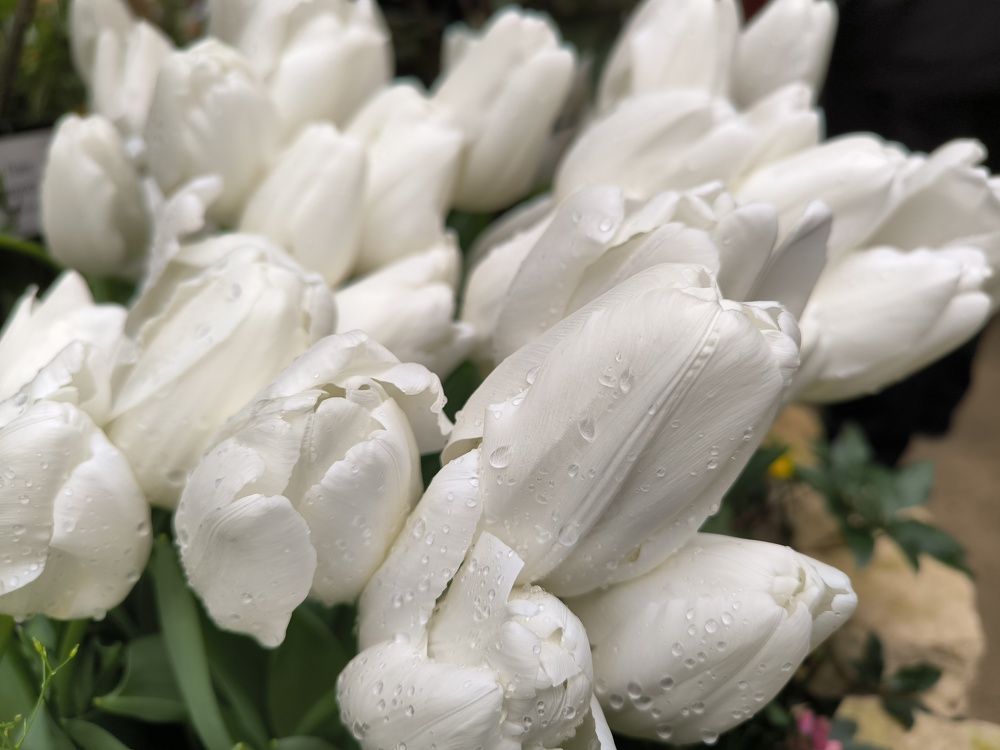 Photograph by Ольга Стоун