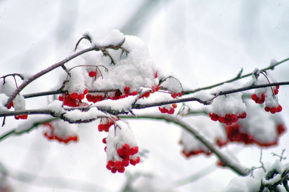 Photograph by Vitaliy Saposhnikov