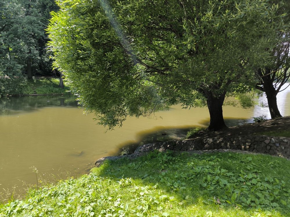 Photograph by Ольга Стоун