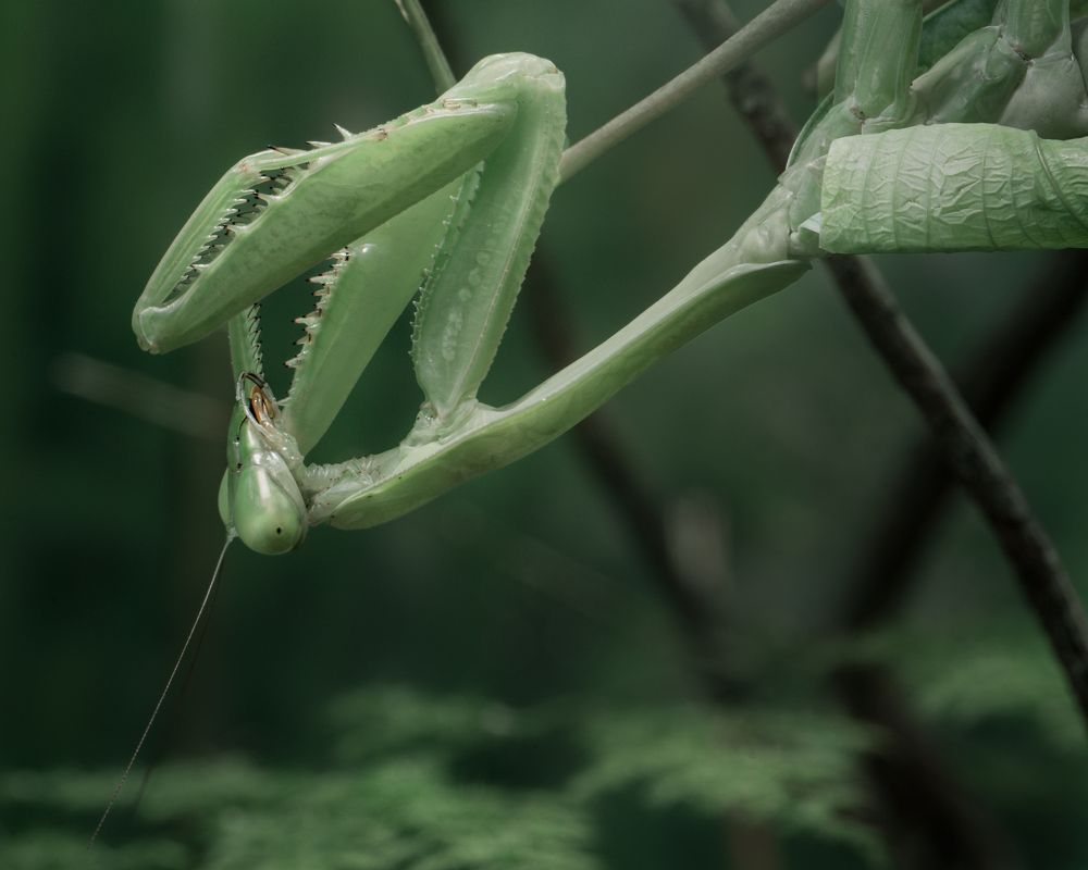 Фотография автора Jose CO