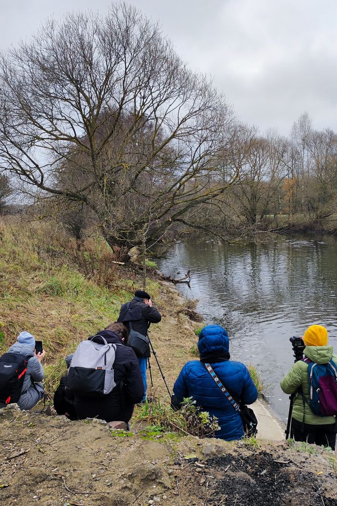 Photograph by Evgenia Korchagova