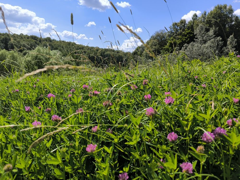 Photograph by Ольга Стоун