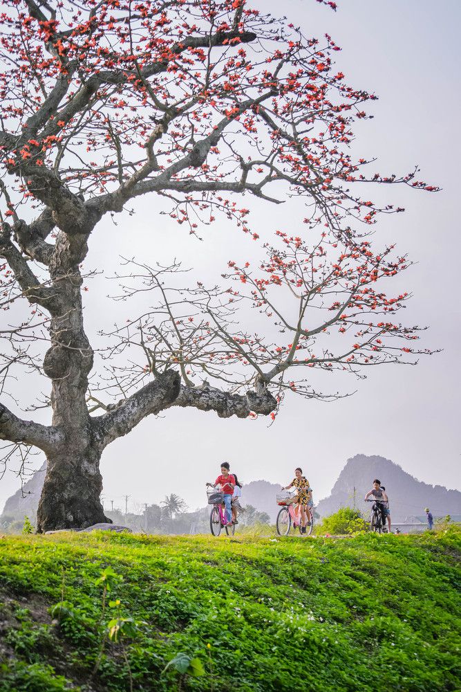 Photograph by NAM BUI