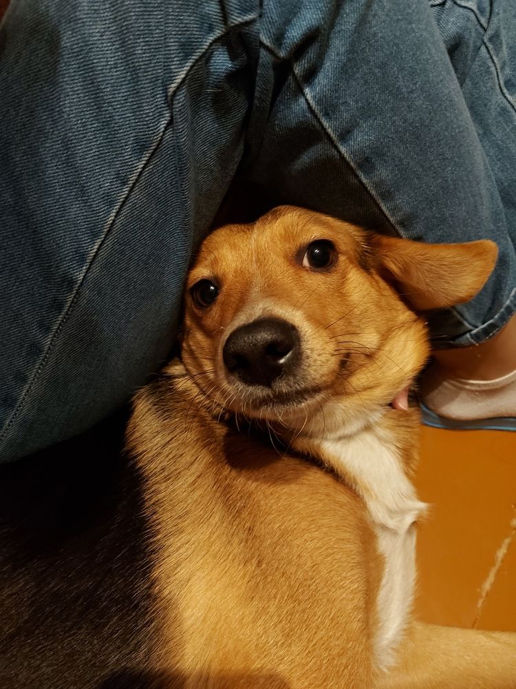 Photograph by ЭЛЬМИРА  ИСМАИЛОВА