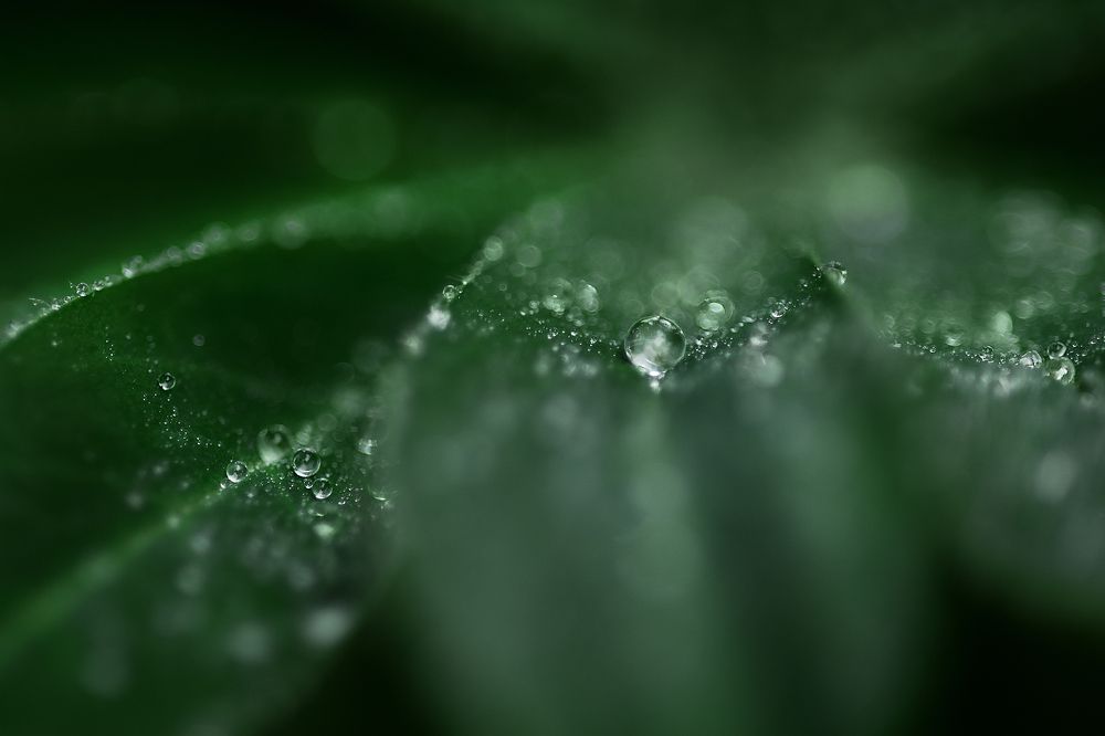 Photograph by Natalia Antipas