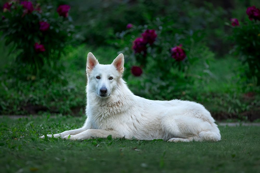 Photograph by Natalia Antipas