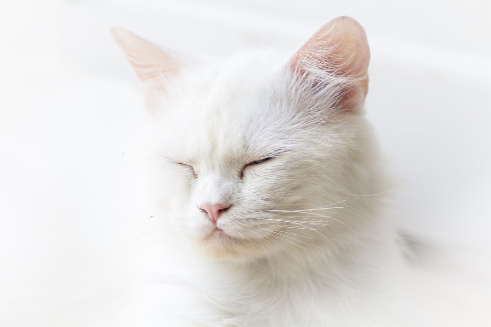 Photograph by mohamed