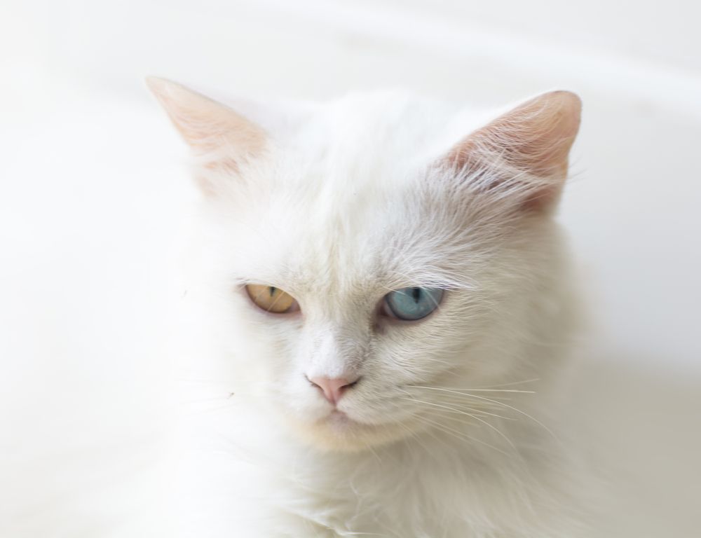 Photograph by mohamed