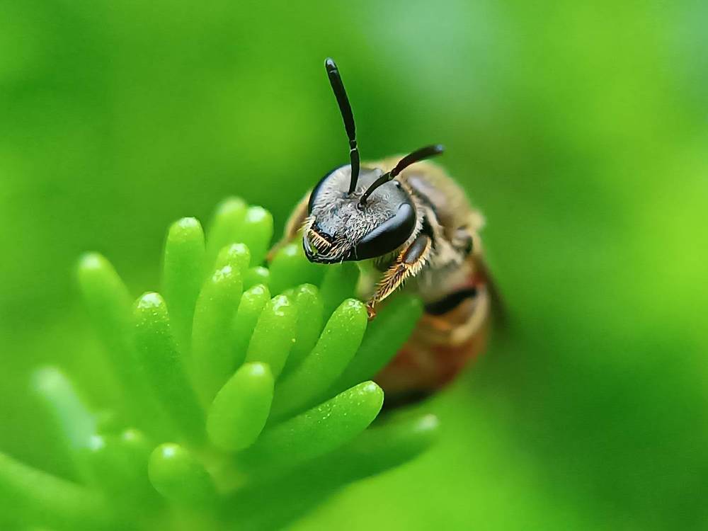 Photograph by Кристина Панченко