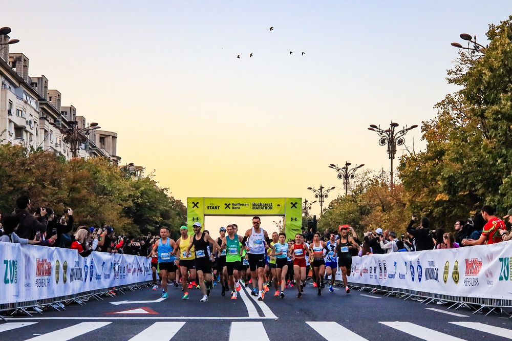 Фотография автора Adrian Grigore