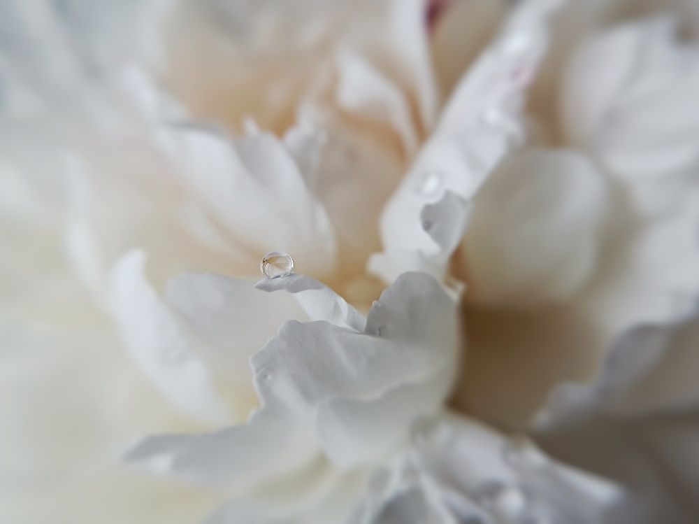 Photograph by Кристина Панченко