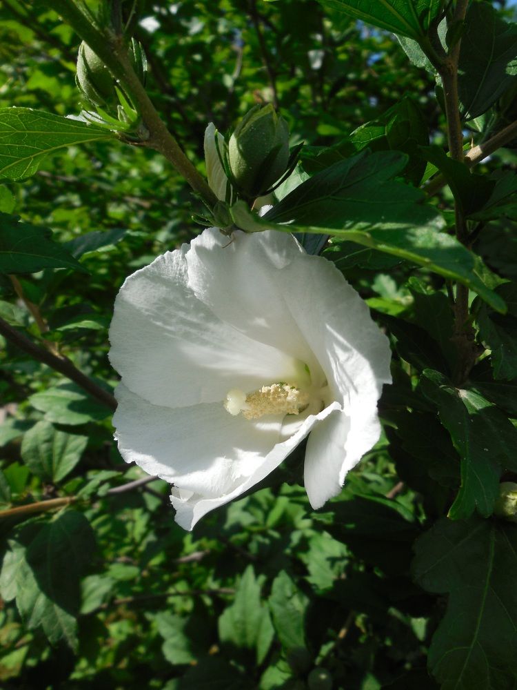 Photograph by Natalya Sedina