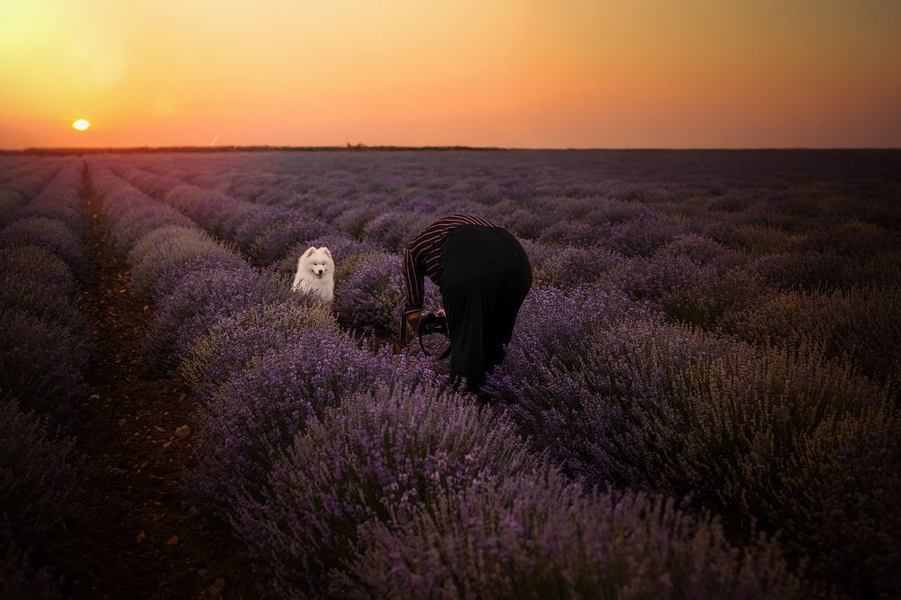 Photograph by Laura Quintanel