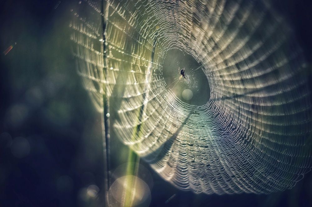 Photograph by Инна Карасева