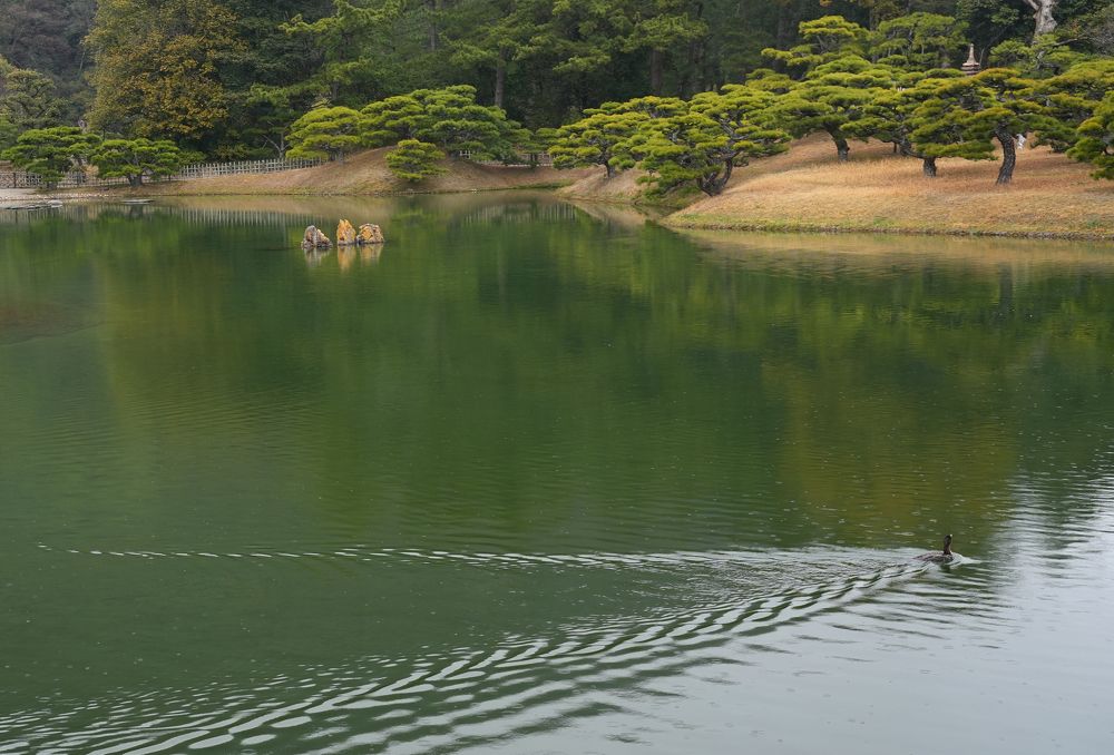 Фотография автора Наталья Белова