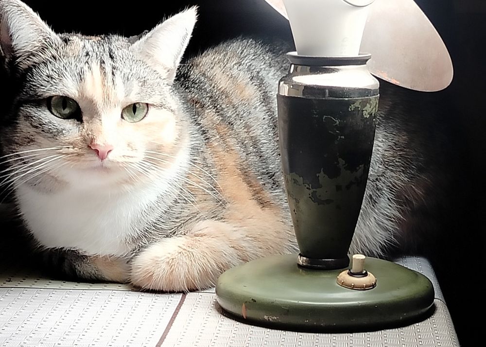 под старинной лампой