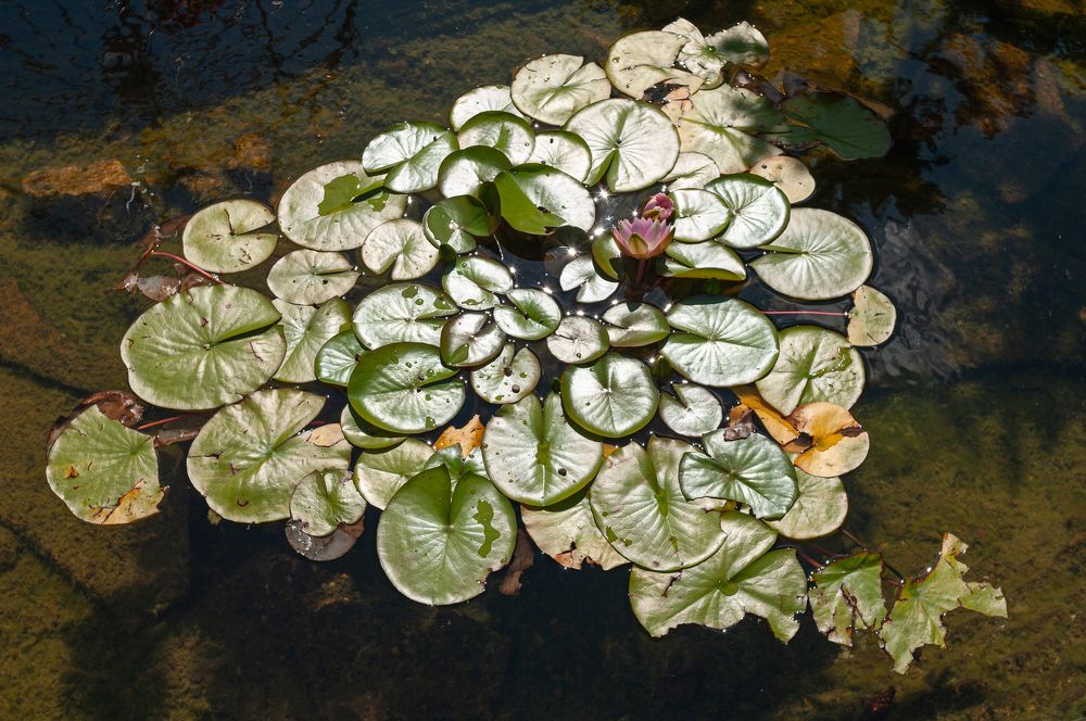 Photograph by Николай Пак