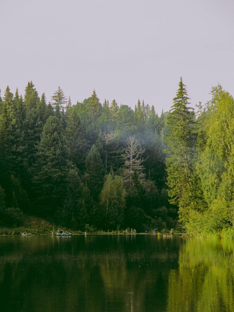 Photograph by Дарья Овсянникова