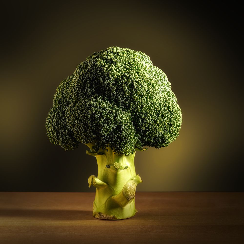 Photograph by Aleksandr Belov