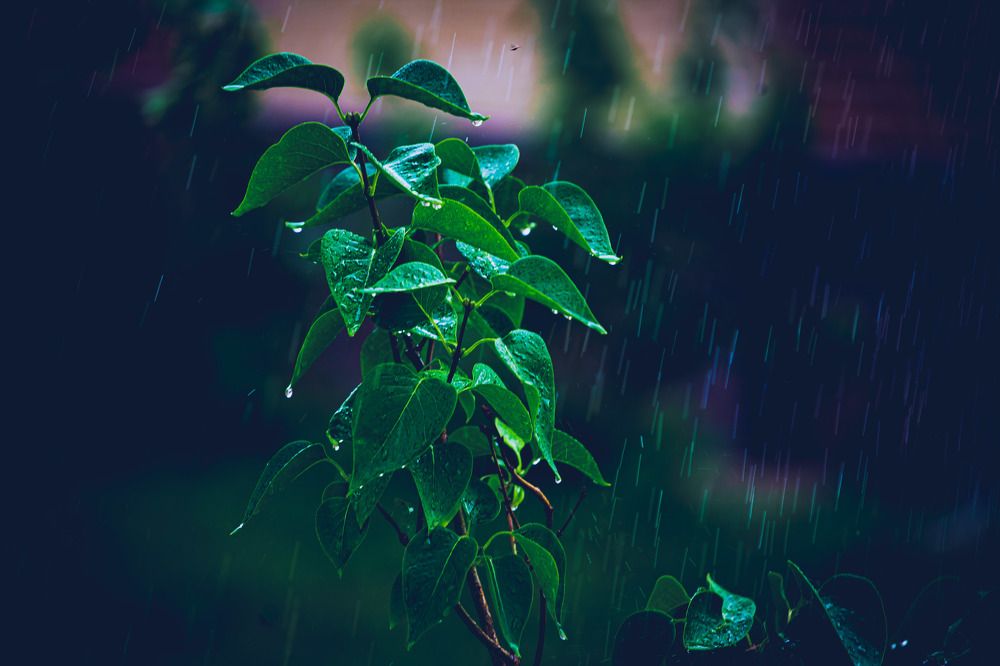 Photograph by Сергей ПЛАТОНОВ