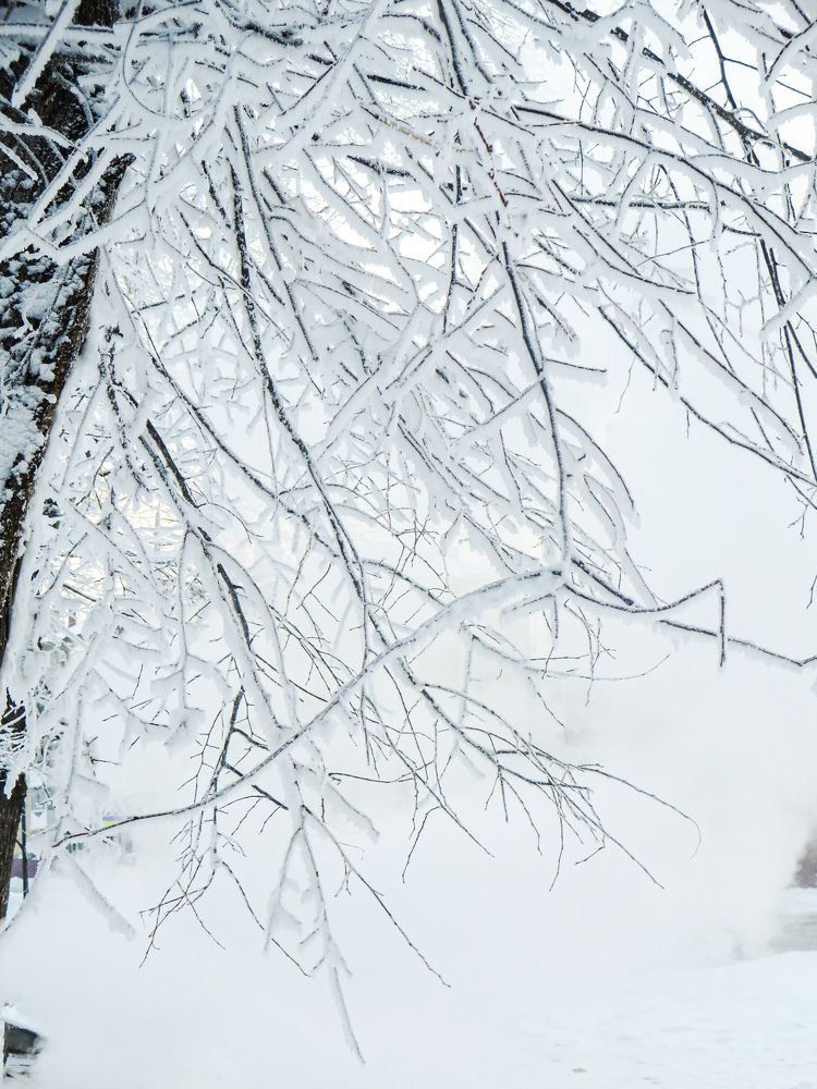 Photograph by Дарья Овсянникова