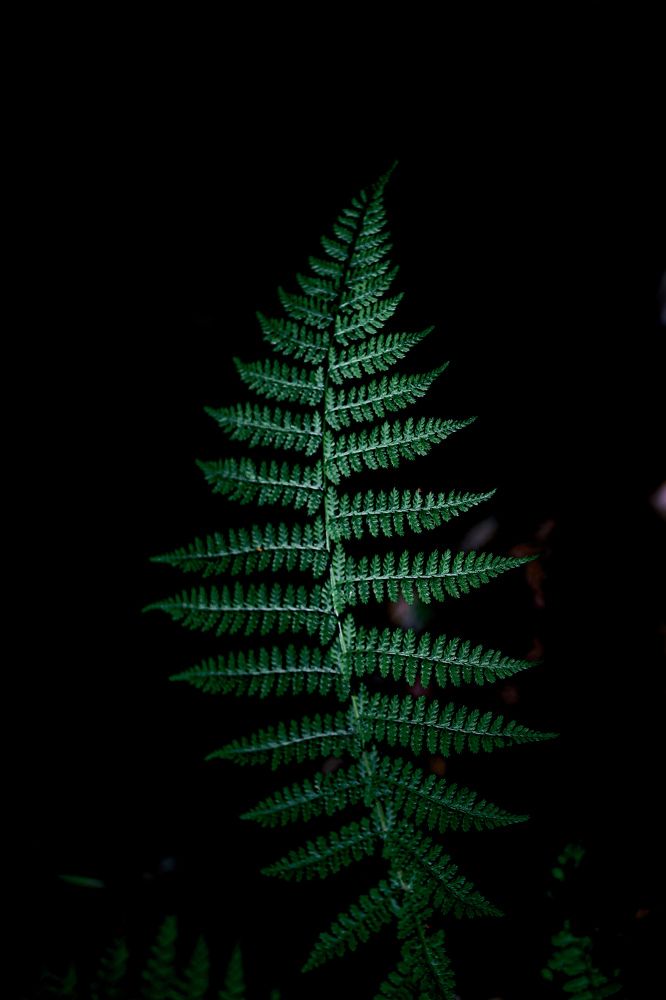 Photograph by Сергей ПЛАТОНОВ