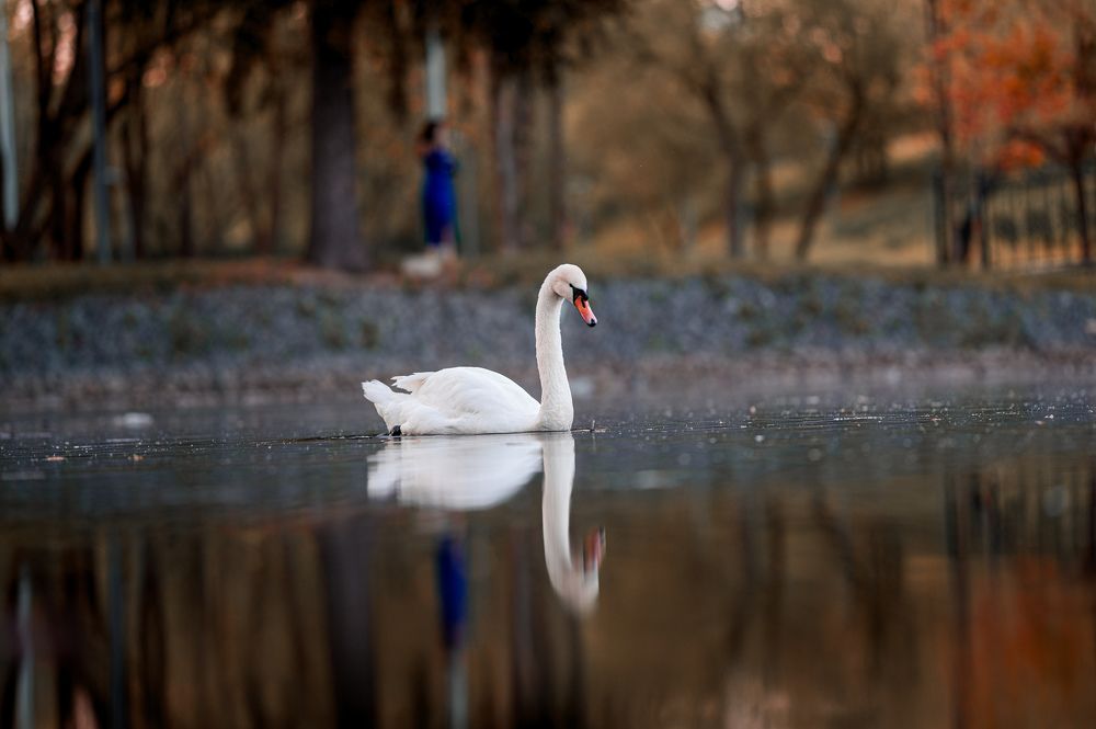 Photograph by Сергей ПЛАТОНОВ
