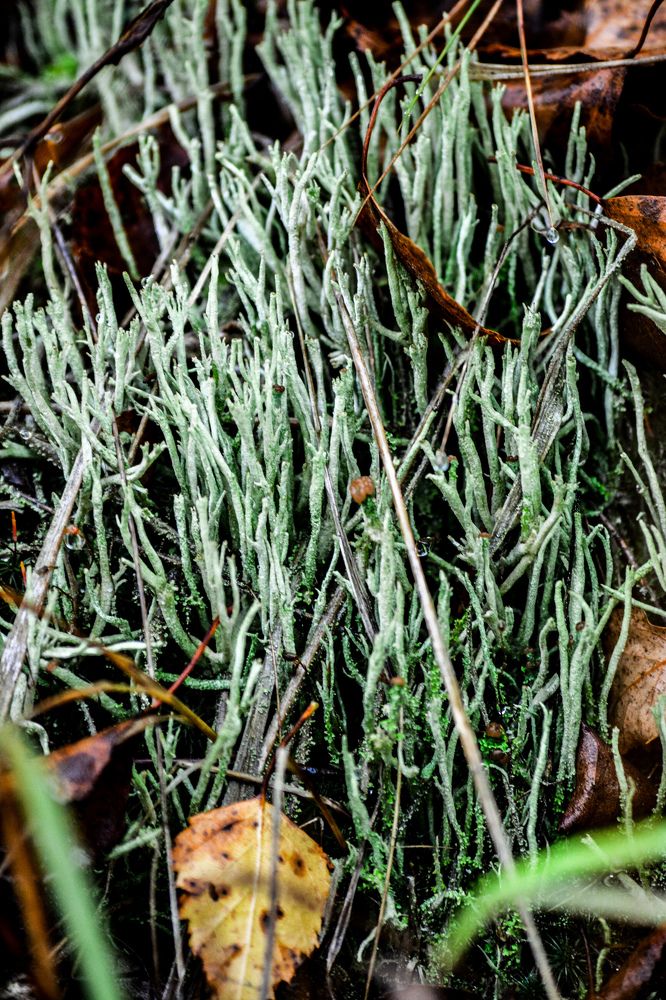 Photograph by Сергей Гуров