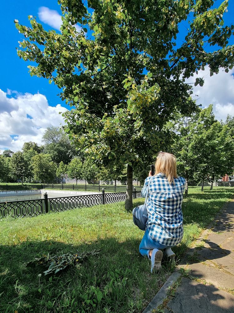 Фотография автора Светлана Алексеева