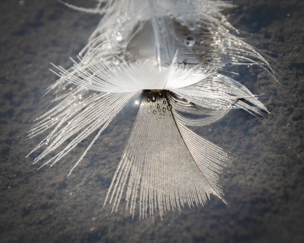 Photograph by Татьяна Романова