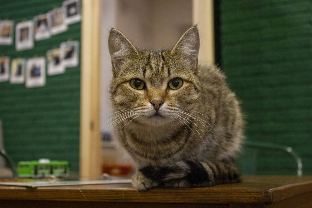 Photograph by Колесникова Елизавета