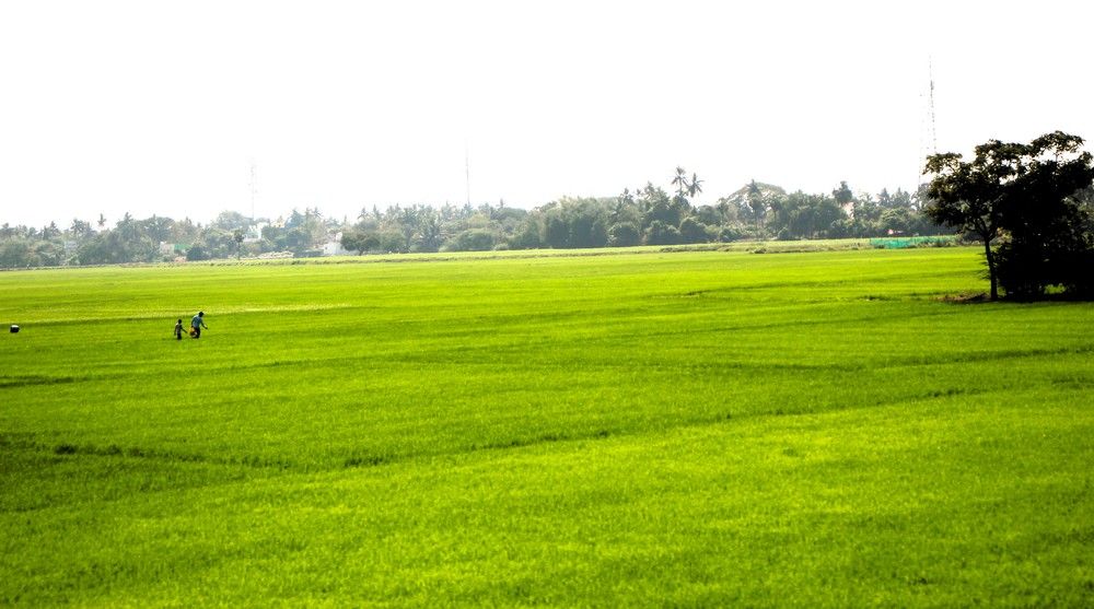 Фотография автора Nadarajan Lakshmanswamy