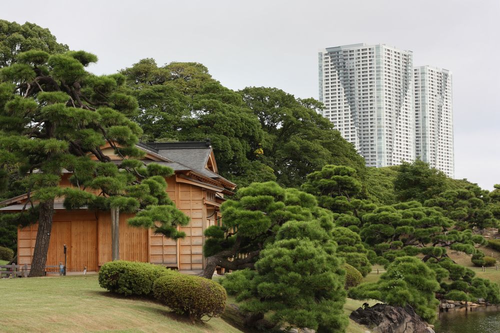 Фотография автора Наталья Белова