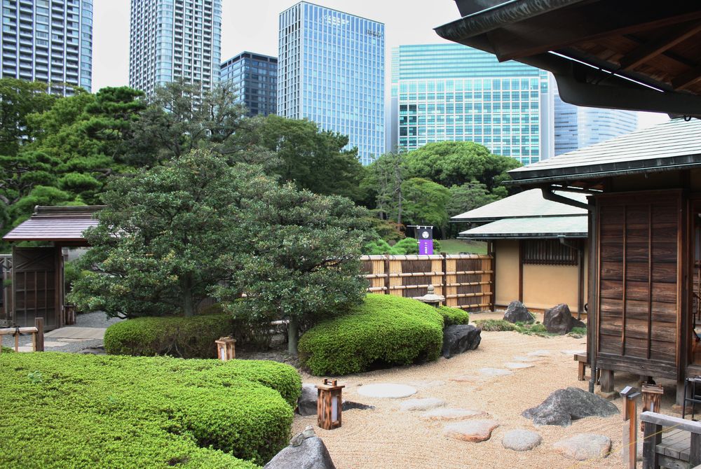 Фотография автора Наталья Белова