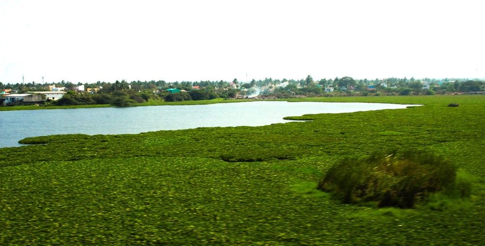 Фотография автора Nadarajan Lakshmanswamy