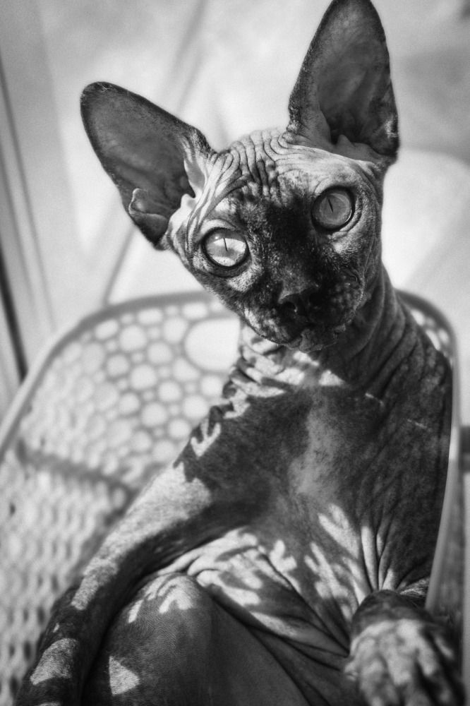 Photograph by Игорь Федянин