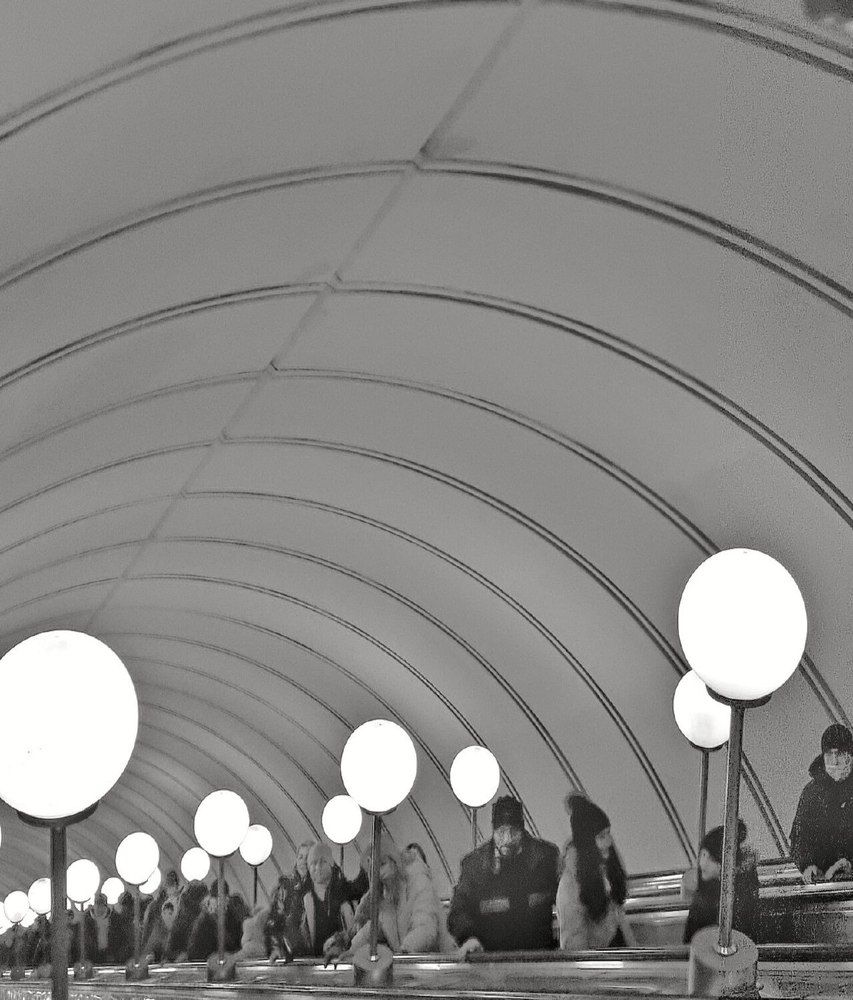 Фотография автора Светлана Алексеева