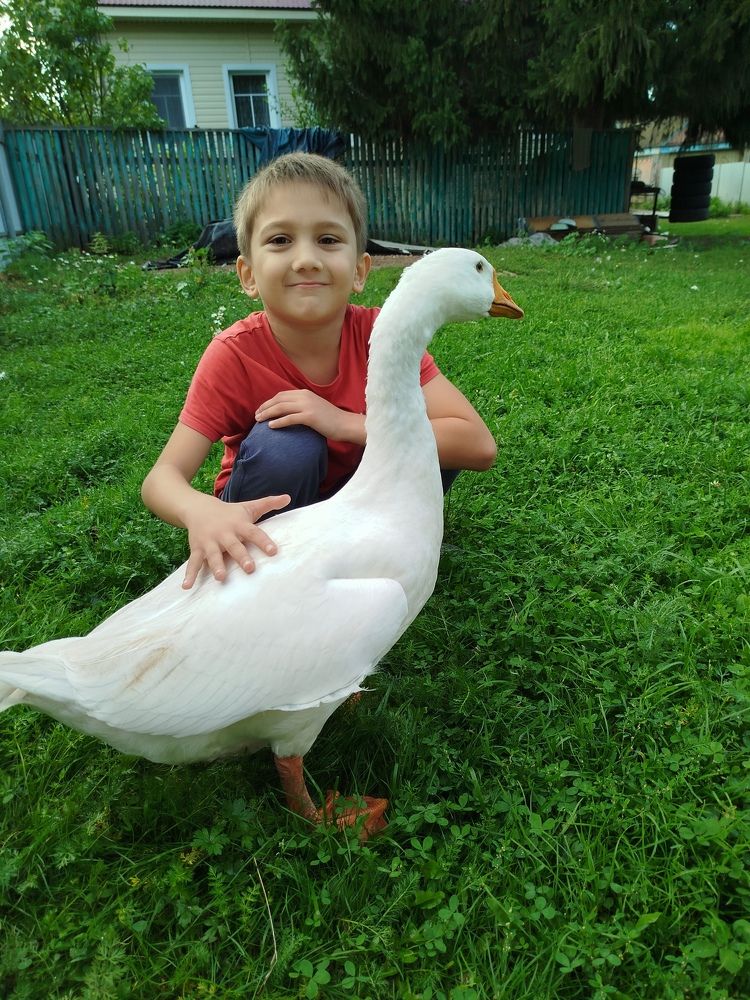 Photograph by Зульфия